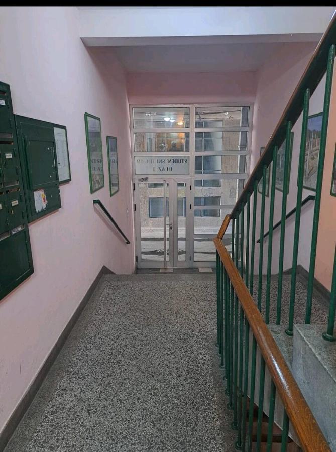 Apartman Milica 2023 Белград Екстериор снимка